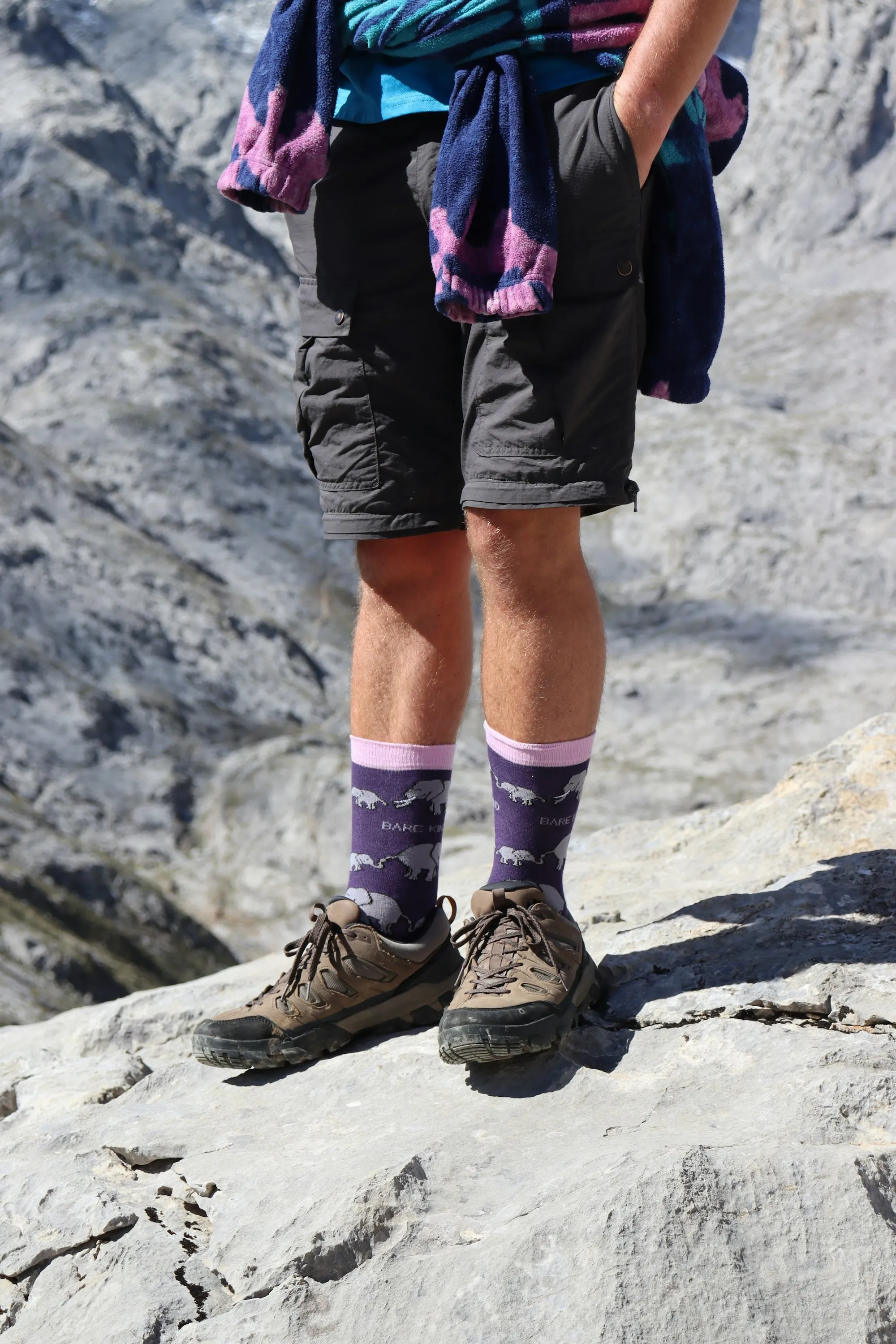 Hiker with a backpack standing on a mountain summit